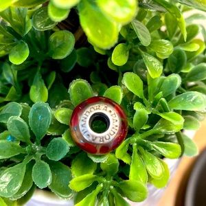 Authentic Pandora Murano glass charm
